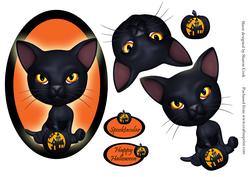 Spooky Cat