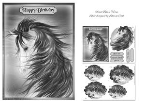 Wind Blown Horse