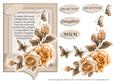Peach Birthday Rose