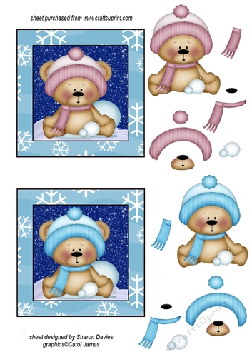 boy and girl xmas bears toppers sheet