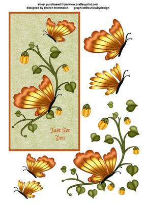 Just for You Butterfly Step by Step