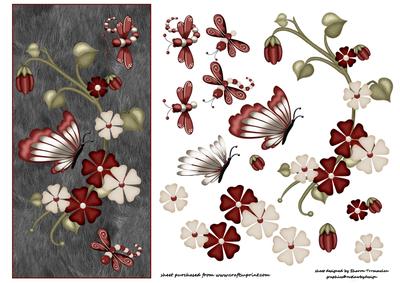 Butterfly and Dragon Fly Step by Step