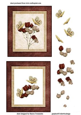 Elegant Butterflies Step by Step