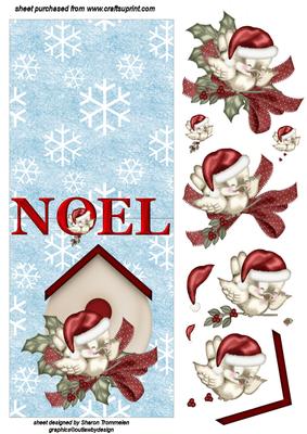 Noel Over the Edge