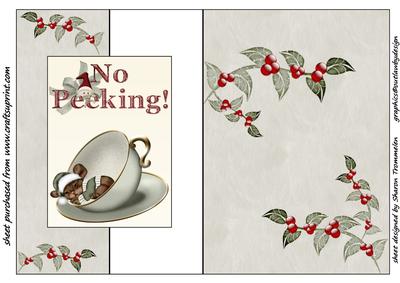 No Peeking Little Mouse Fold Back