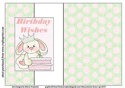 Happy Birthday Ted Fold Back Sheet