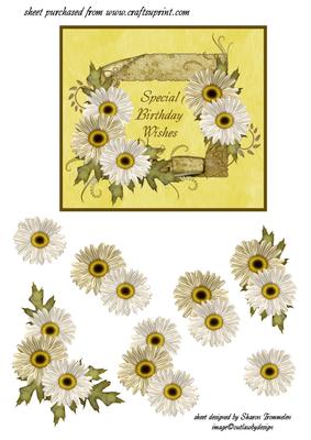Floral Birthnday Wishes Step by Step