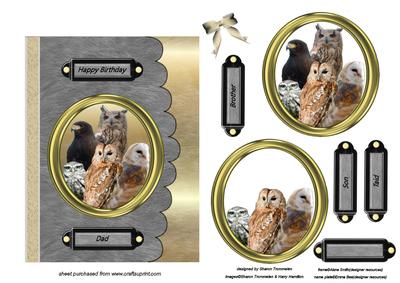 Birds of Prey Step by Step Card Front