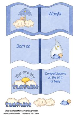 Baby Boy Book Sheet