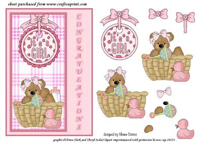 Congratulations It's a Girlstep by Step
