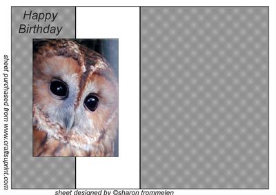 Tawn Owl Fold Back