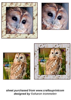 Tawny Owl Toppers
