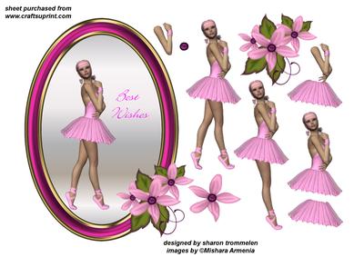 Pretty Pink Ballerina Step by Step[