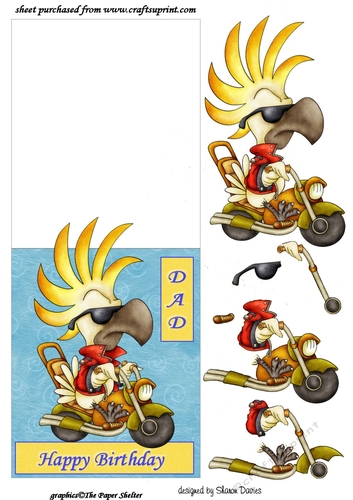 biker dad over the edge