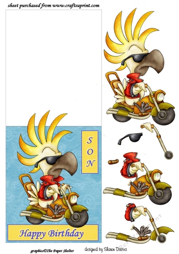 biker son over the edge