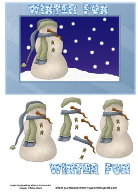 Winter Fun Step by Step Card Front