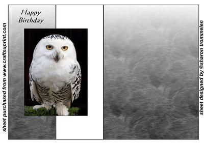 Snowy Owl Fold Back Sheet