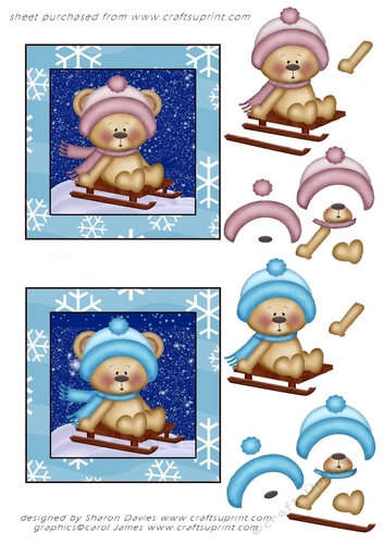 boy and girl christmas bears toppers sheet