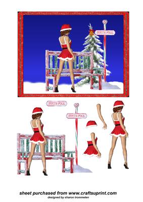 Wishes from the North Pole Step by Step