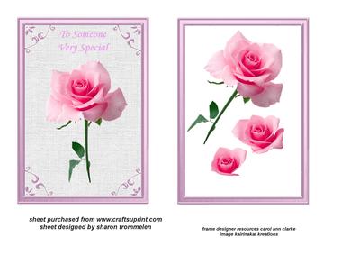 Special Rose Step by Step