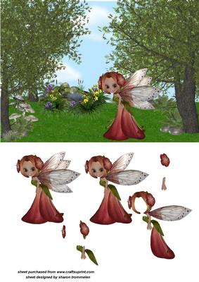 Secret Garden Step by Step
