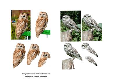 Owl Toppers Sheet with Layers
