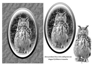 Black and White Eagle Owl Card Front
