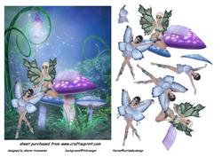 Fairy Spells Step by Step