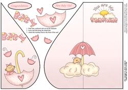 New Baby Girl Tear Drop Sheet
