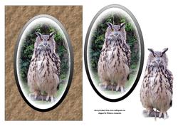Eagle Owl Card Front