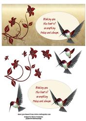Humming Bird Step by Step