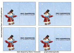 Mini Snowman Card Insert(2.5 X3.5inch)