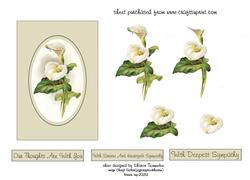 Deepest Sympathy Step by Step