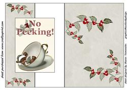 No Peeking Little Mouse Fold Back