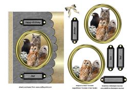 Birds of Prey Step by Step Card Front