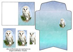 Barn Owl Mini Card and Envelope