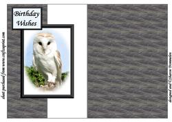 Barn Owl Fold Back Sheet