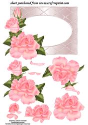Pink Roses on Frame Step by Step
