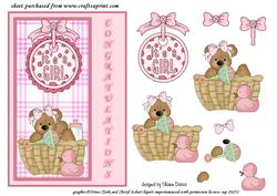 Congratulations It's a Girlstep by Step