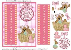 Congratulations Its a Girl Ted Step by Step