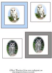 Owl Toppers 2