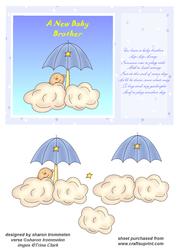 New Baby Brother Step by Step