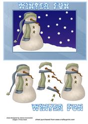 Winter Fun Step by Step Card Front