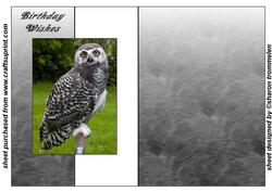 Young Snowy Owl Fold Back Sheet