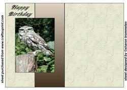 Little Owl Fold Back Sheet