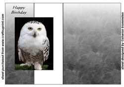Snowy Owl Fold Back Sheet