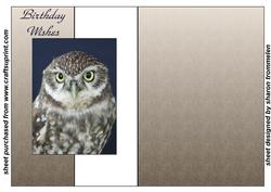 Little Owl Fold Back Sheet