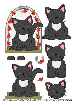 Lucky Black Cat