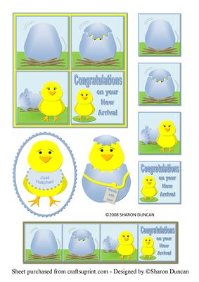 Just Hatched Baby Chick Toppers - Blue