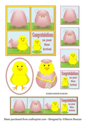 Just Hatched Baby Chick Toppers - Girl